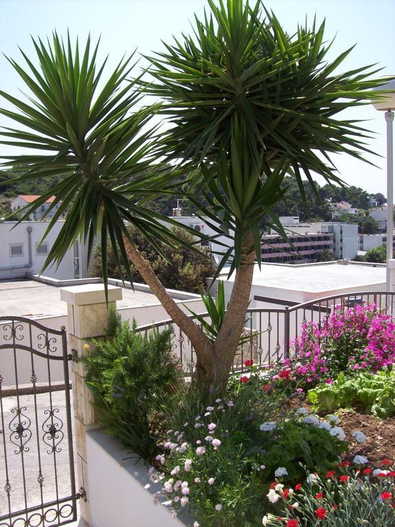 חוואר Apartments Prosperina Hvar מראה חיצוני תמונה
